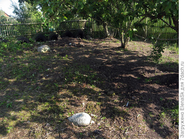 В качестве приятного отдыха - бдила (очищала) небольшие пространства