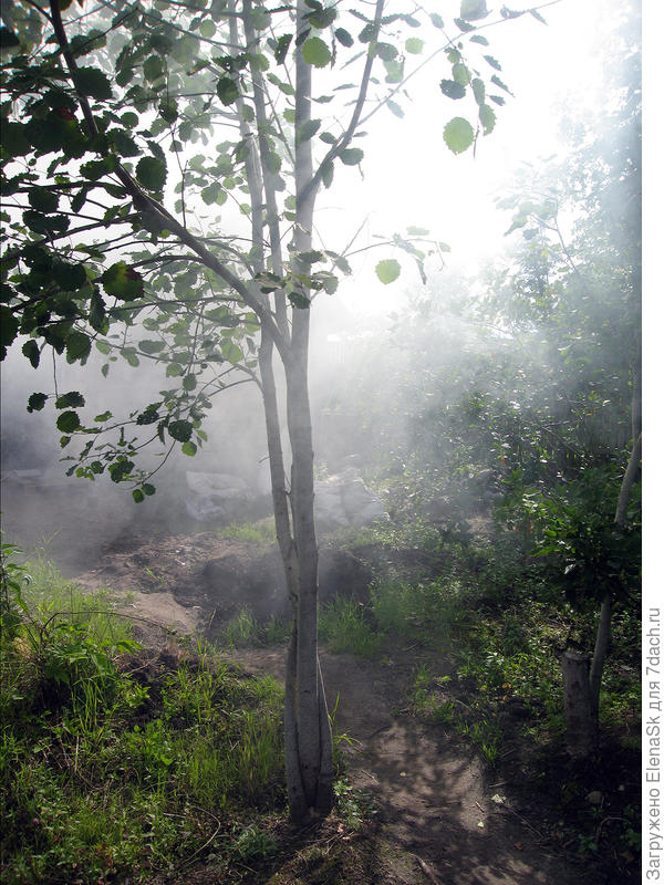 Постоянно что-то сжигала, иногда ветер был в нужную сторону...