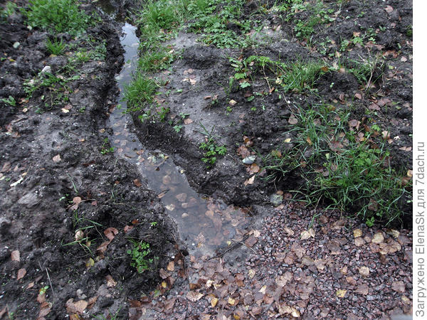 Это та канавка, что я вырыла отводя воду от дома...