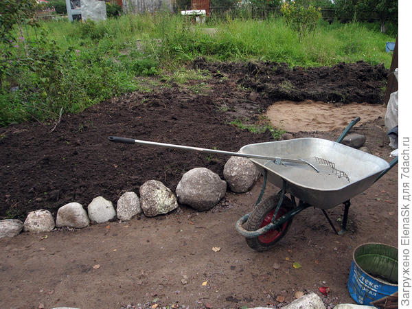 Я продолжила, как меня учили...