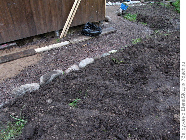 Чтобы грунт не съехал - тоже натаскала камней.