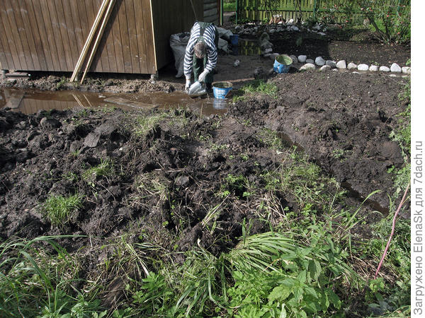 вычерпывала воду...