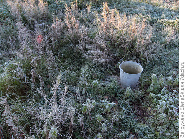 Изморозь утром... Забора - нет.