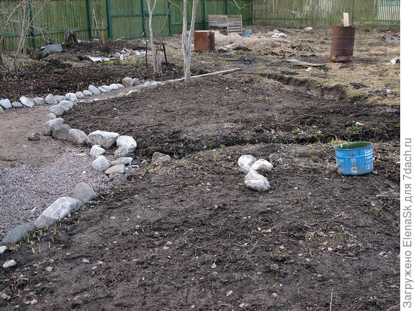 Плана - каким будет сад - по прежнему не было...