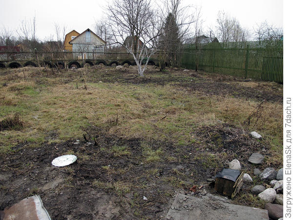 Приехала через неделю и начала угол расчищать.