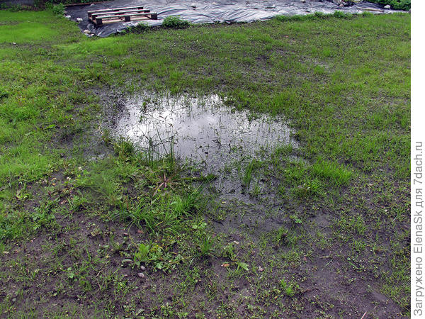 В центре газона образовался провал. Семена газонной травы видно скисли от постоянных ливней - всходило все что всходило.