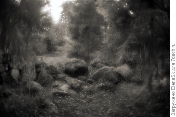 Монрепо, 2017 год