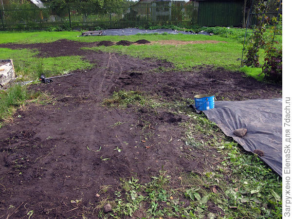 Середина сентября