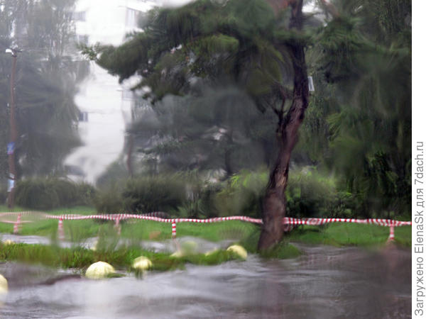 Через лобовое стекло