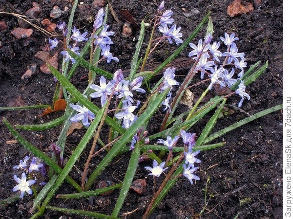 Пришлось ехать домой.