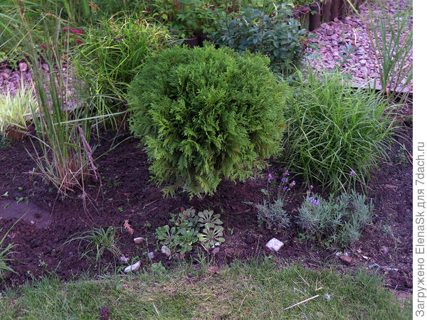 Это один из них (правда сейчас там "погуще"