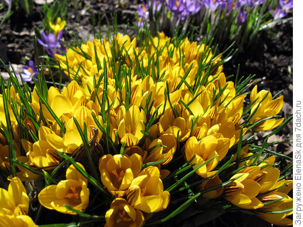 Они одинаковые каждый год - смысла нет много показывать...