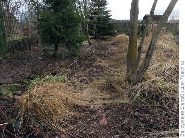 Злаковый микс под соломой