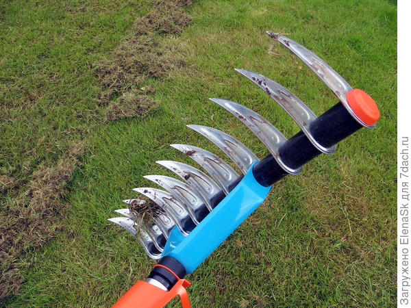 Через несколько дней, когда мох скукожится - вычесывала такими граблями...