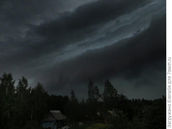 ххх