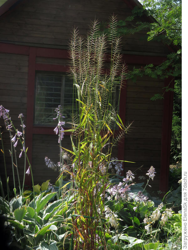 На всякий случай опору поставила самую высокую - видна где-то там в ногах... Ветра сильные были, деревья ломали.