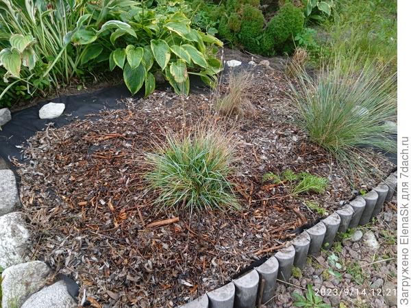 Не загрузилось фото в прошлый раз