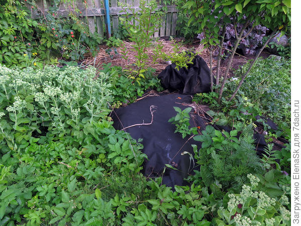 Вздувает вот так - на переднем плане пузырь, дальше - уже поднятый с грунта кусокта