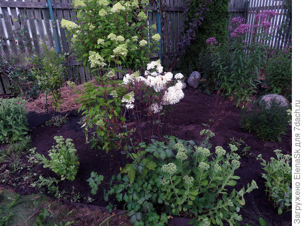 По новой перекопала и вновь укрыла