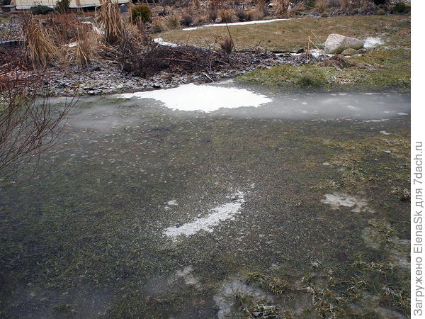 середина марта