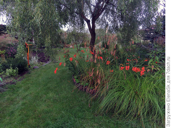 Она справа.