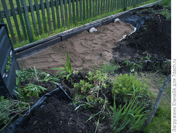 На переднем плане вынутые оттуда растения, потом вернула на место.