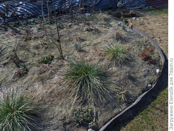 15 апреля 2018