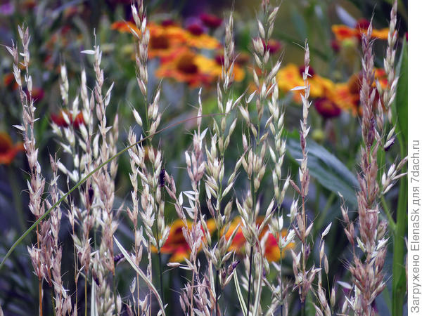 На мой взгяд вполне симпатично