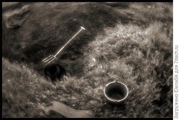 Вилы светятся...