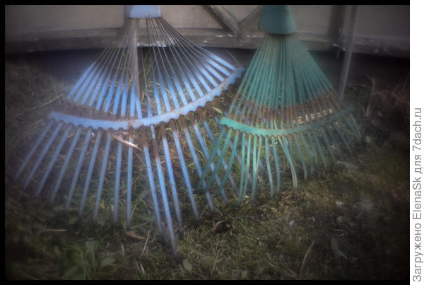 В гостях была, ну как не снять? Условно картинку назвала &amp;quot;Грабли на которые мы наступаем&amp;quot;...