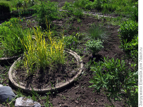 Это когда в кольце сидел