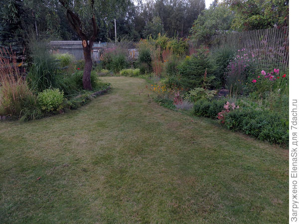 А это место куда они пока посажены (справа чуток видны их шапки)