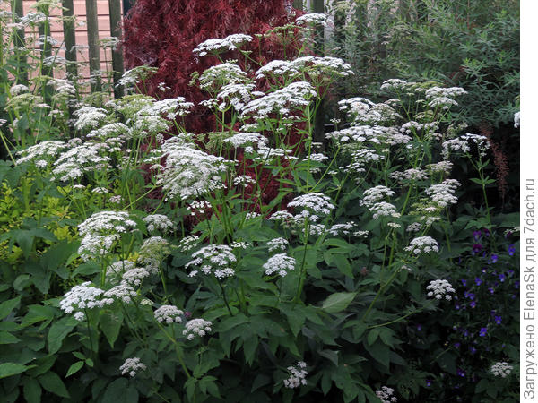 Там же рядом