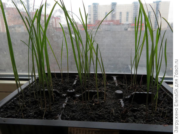 23.03.2024 Шероховатка