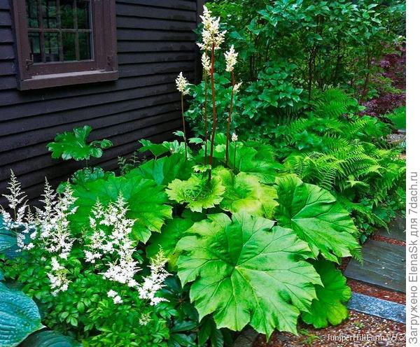 Фото из сети