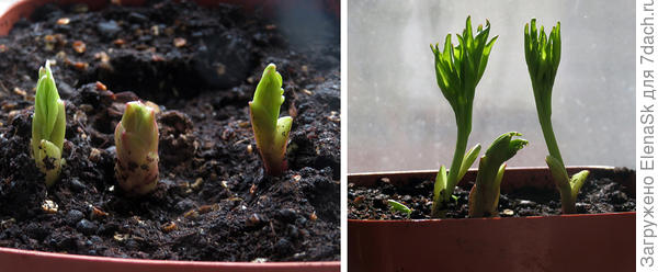 Слева - 10-го апреля, справа - сегодня - 13 апреля.