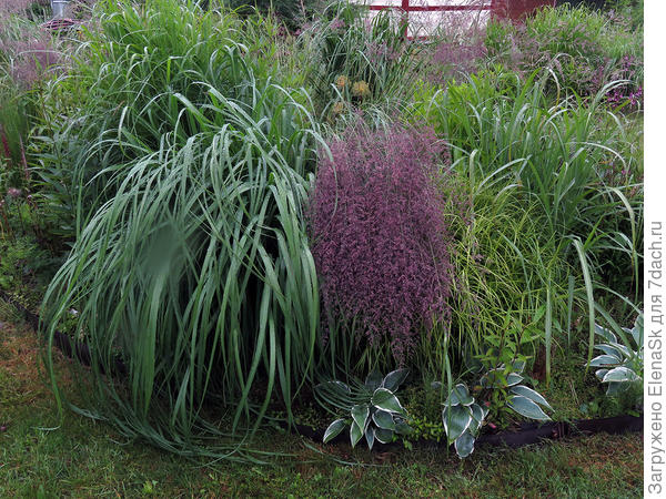 Карл Фостер после дождя