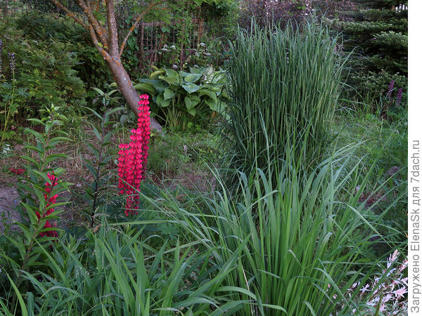 Карл Фостер