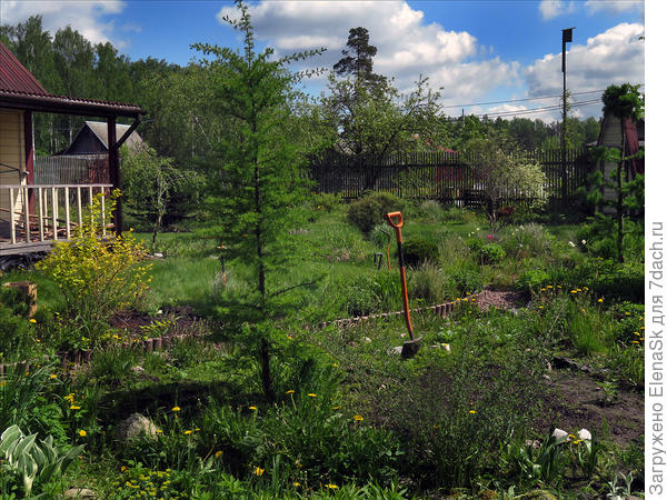 Весна 2020 года