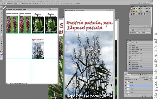 В фотошопе открываю шаблон, на нем есть сделанная однажды разметка, и инструментом (маленькой белой стрелочкой на него указала в верхнем левом углу) перетаскиваваб этикетки на шаблон. При этот на этикетке картинка никуда не девается, и можно перетащить ее столько раз, сколько нужно. Внизу справа видно, что каждая картинка на другос слое, любой слой можно удалить, картинка исчезнет, а на это место перетащить другую. Слои при перетаскивании изображения образубтся автоматически.