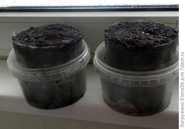 Так это выглядит