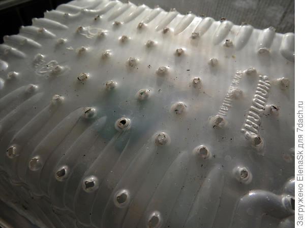 Дренажные отверстия в плошках