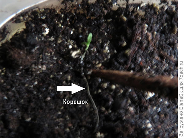 Кладу на грунт