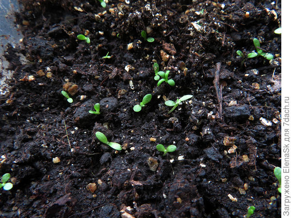 Это снято крупнее