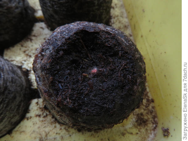 Здесь какая-то точка...