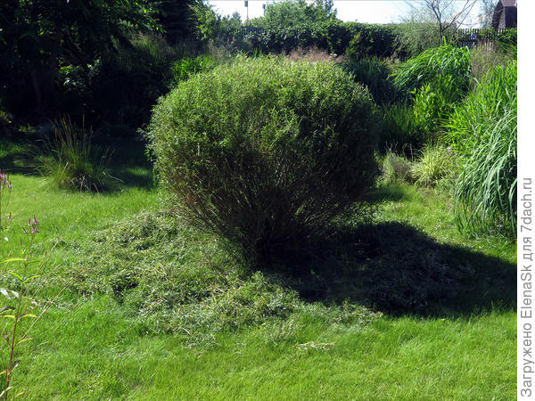 После. Проредить - невозможно