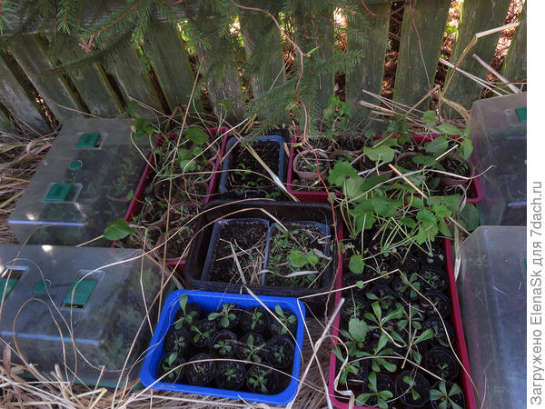 Открыла посмотреть - все живы