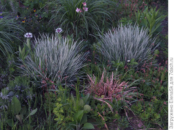 Так они примерно выглядят издали, хотя здесь на фото - Овердам (Аваланч - если не вглядываться в полоски - выглядит также, просто я знаю, что это Овердам...