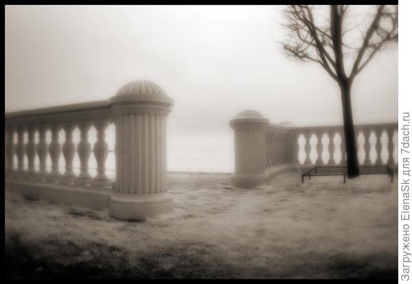 Такие хиленькие деревца на террасе высадили после урагана...