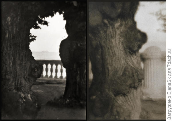 Мои любимые две иав на этой террассе. Справа - одна из них, слева - силуэт между ними... У меня про них много фото...